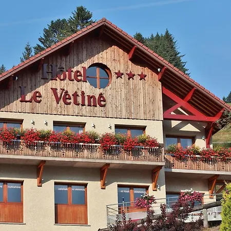 Hotel Logis Hôtel Le Vétiné 3*