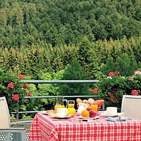 Hotel Logis Hôtel Le Vétiné 3*