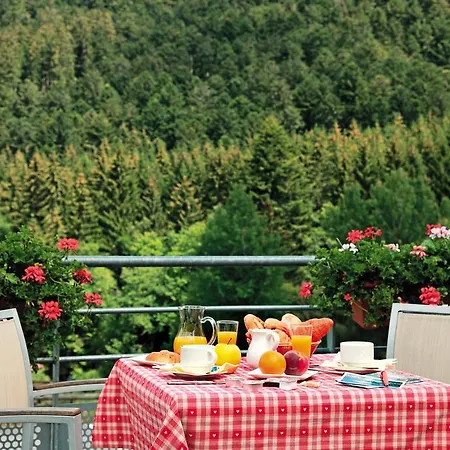 Logis Hôtel Le Vétiné 3* Le Valtin