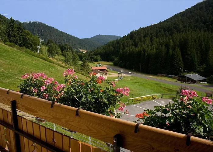 Logis Le Vétiné 3* Le Valtin