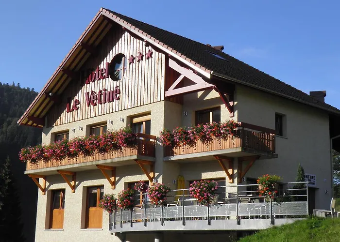 Logis Le Vetine 호텔 3*