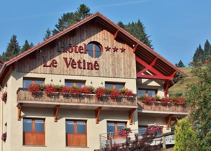 Hotel Logis Le Vétiné 3*