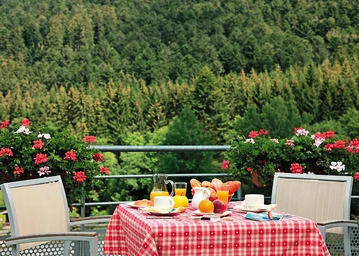 Logis Le Vétiné 3* Le Valtin